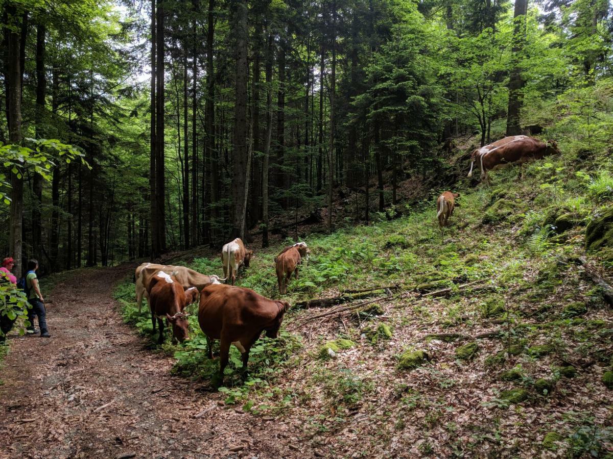 Puzman Farm Glamping Villa Radovljica Buitenkant foto
