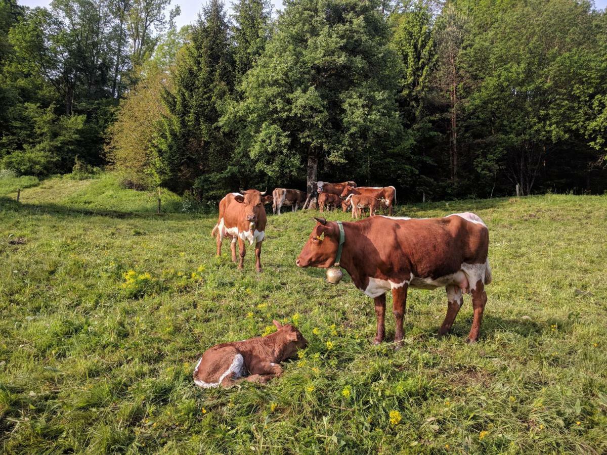 Puzman Farm Glamping Villa Radovljica Buitenkant foto